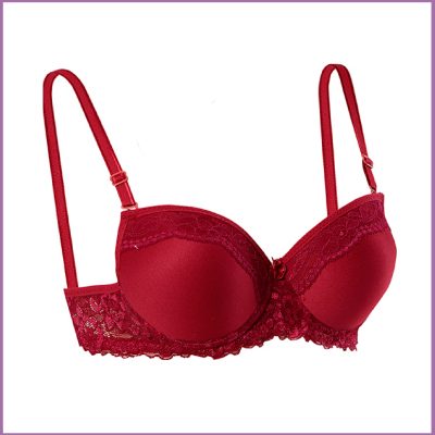 1053 – Toparlayıcı Sütyenler