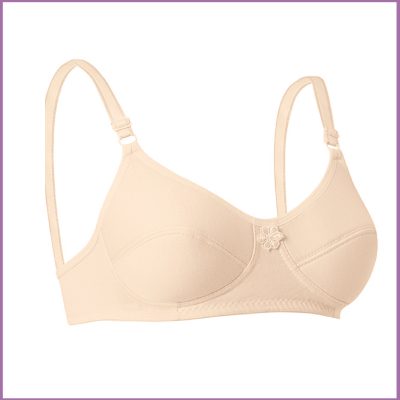 1053 – Toparlayıcı Sütyenler