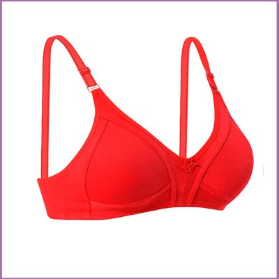 1053 – Toparlayıcı Sütyenler